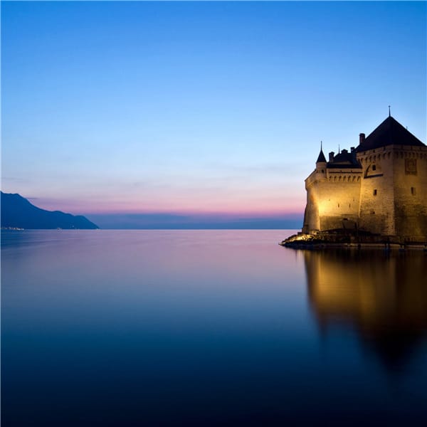 วี วิโอเลต avatar